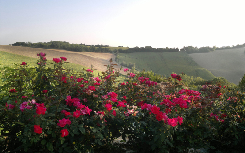 Spa e benessere a Ostra (AN)