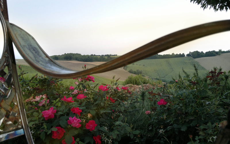 Spa e benessere a Ostra (AN)