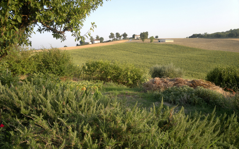 Spa e benessere a Ostra (AN)