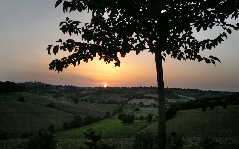 Spa e benessere a Ostra (AN)