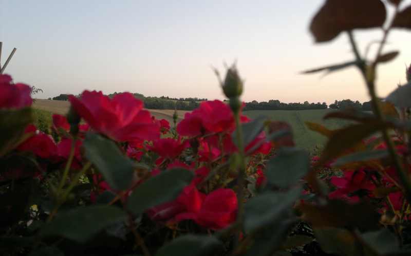 Spa e benessere a Ostra (AN)