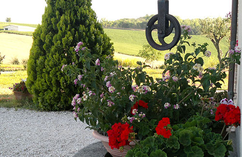 agriturismo ostra ancona