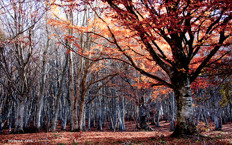 sala yoga la ragola ostra